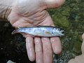 DSC00080001