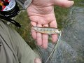 DSC00083001