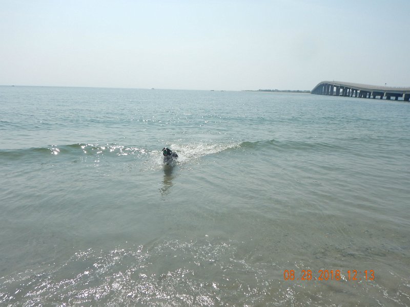 $Beach2018012$.jpg