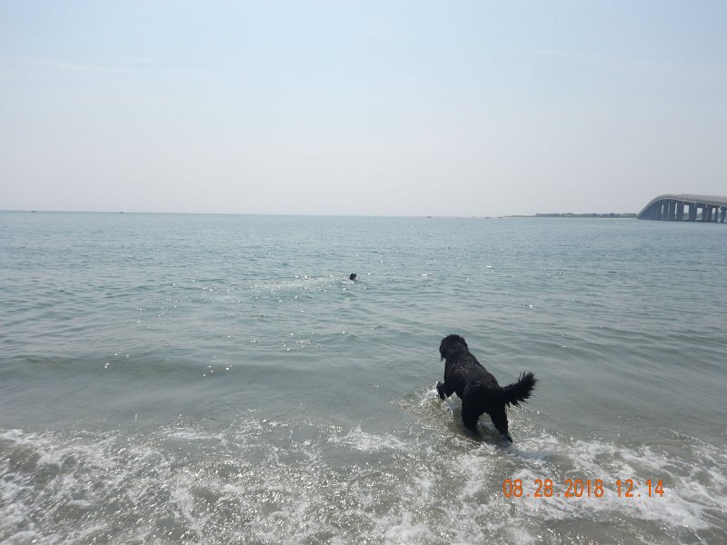 $Beach2018014$.jpg