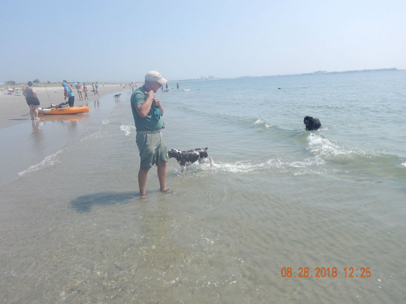 $Beach2018018$.jpg