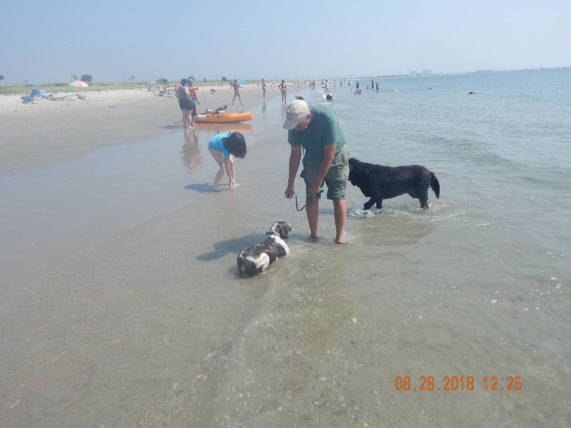 $Beach2018019$.jpg