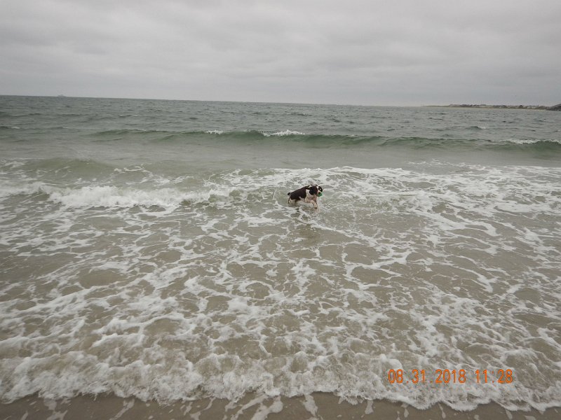 $Beach2018033$.jpg