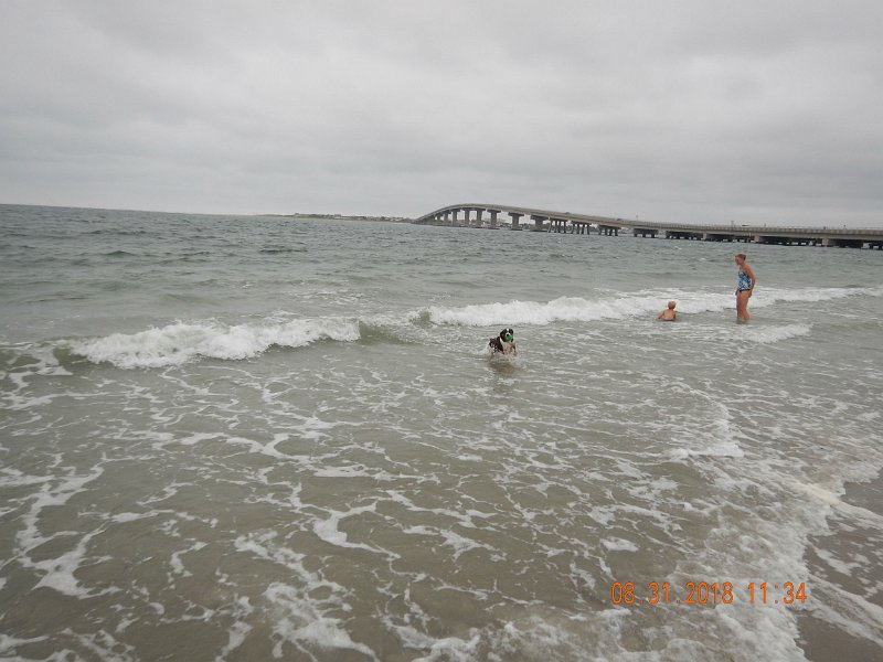 $Beach2018035$.jpg