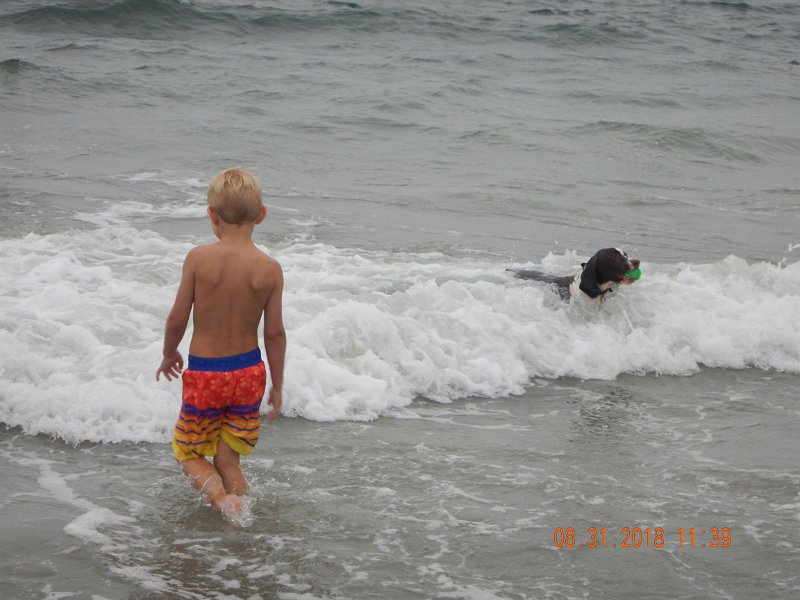 $Beach2018043$.jpg