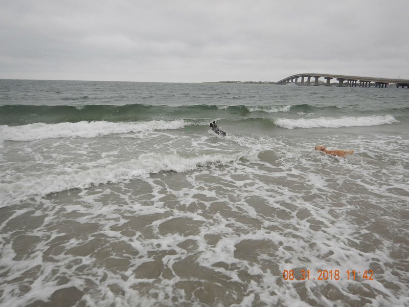 $Beach2018046$.jpg