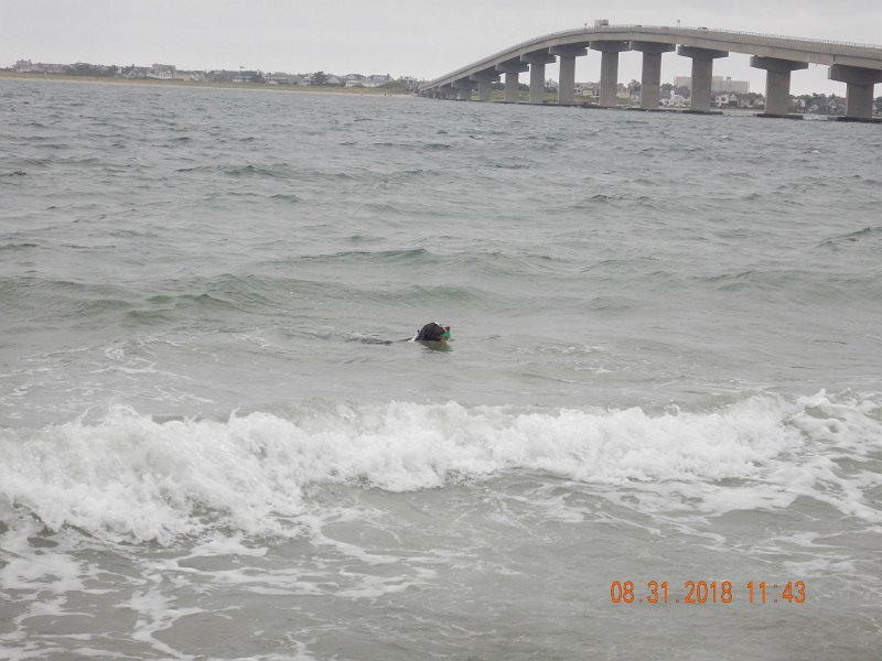 $Beach2018047$.jpg