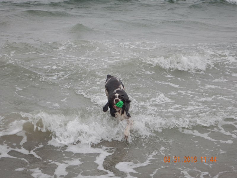 $Beach2018050$.jpg