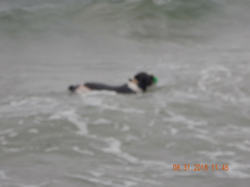 $Beach2018052$.jpg