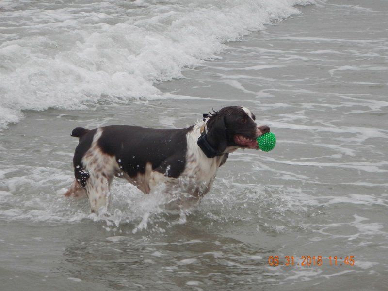 $Beach2018053$.jpg