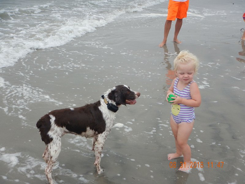 $Beach2018057$.jpg