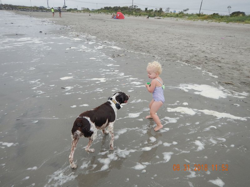 $Beach2018060$.jpg