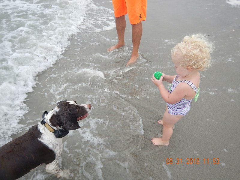 $Beach2018064$.jpg