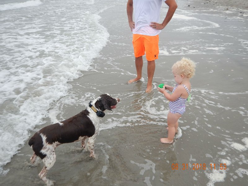 $Beach2018065$.jpg