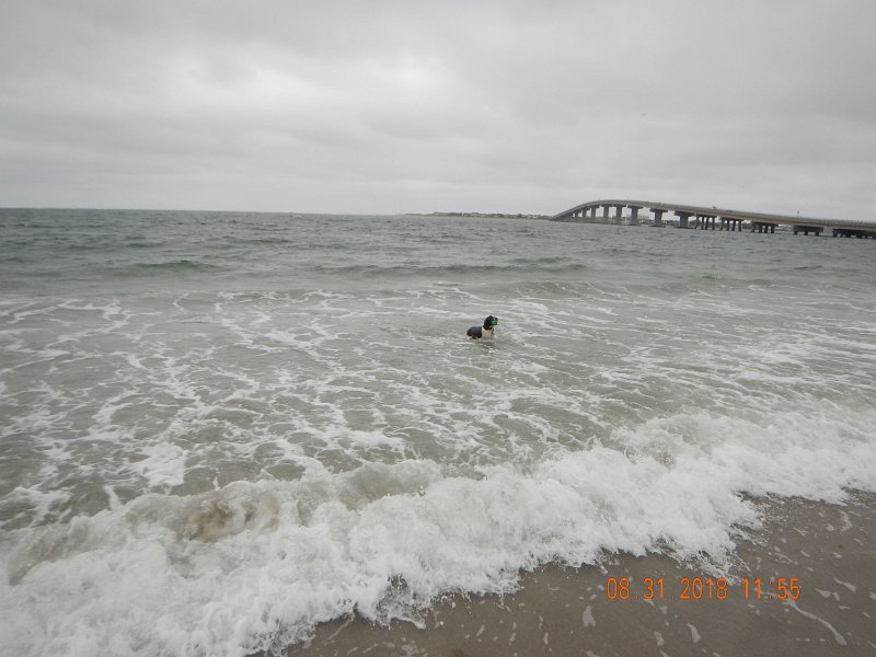 $Beach2018070$.jpg