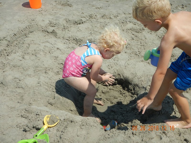 $Beach2018113$.jpg