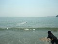$Beach2018013$