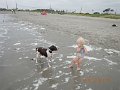 $Beach2018061$