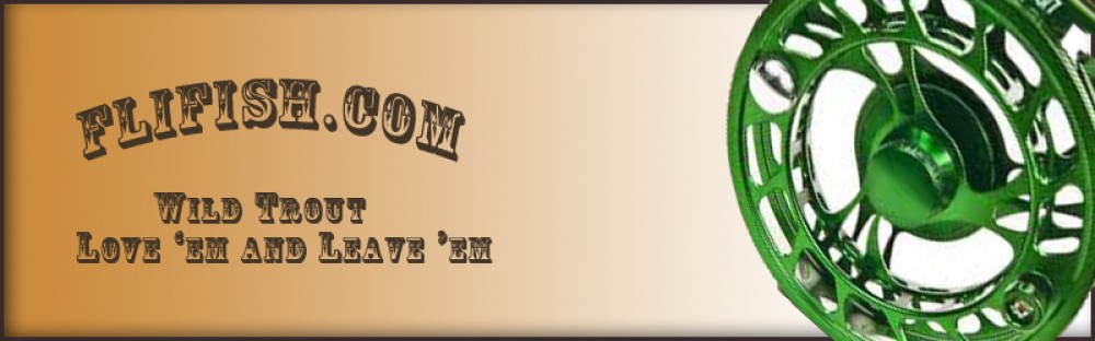 Welcome to the Flifish.com Blog